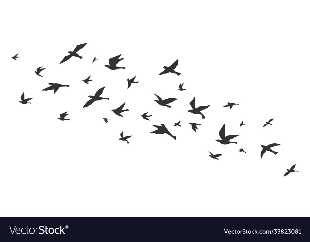 Detail Flying Bird Silhouette Vector Nomer 21