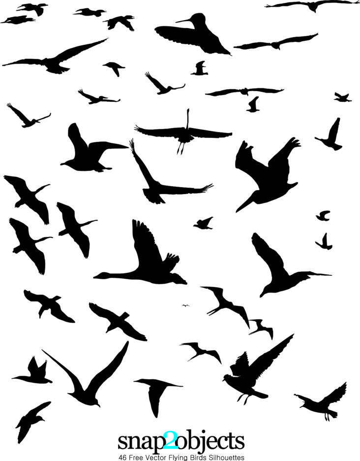 Detail Flying Bird Silhouette Vector Nomer 23