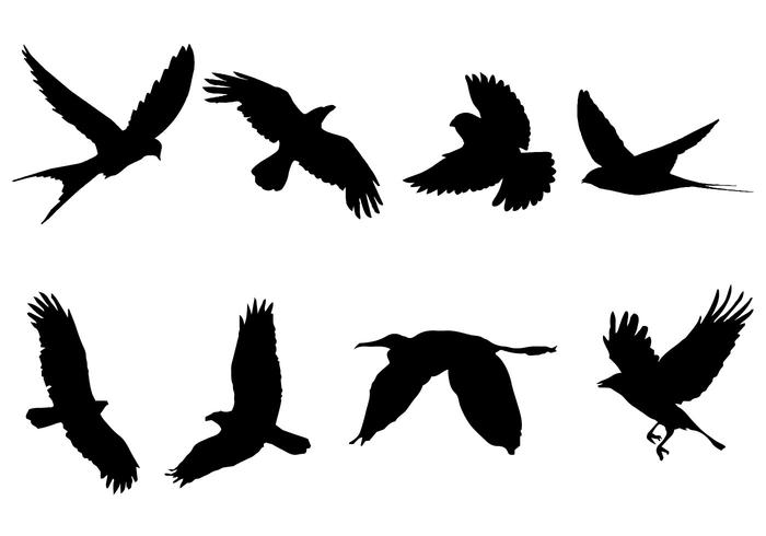 Detail Flying Bird Silhouette Vector Nomer 25