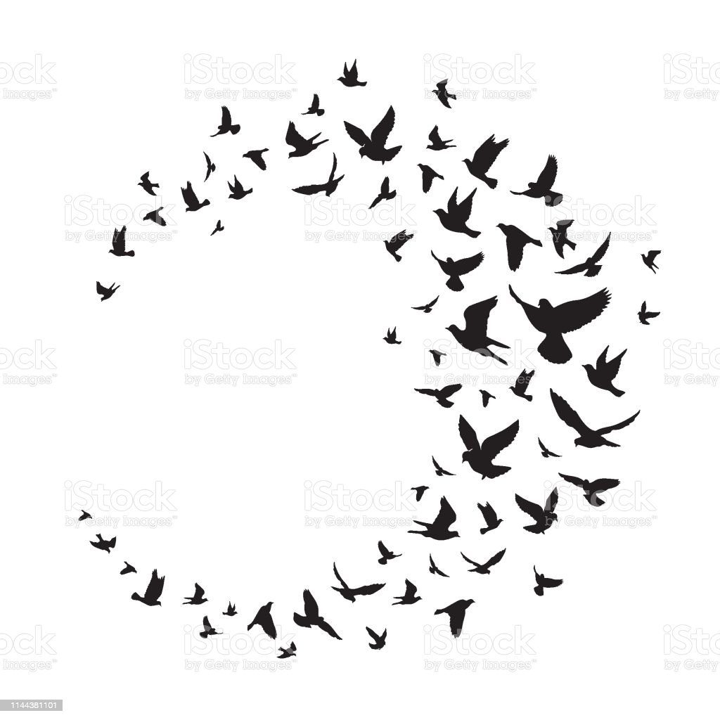 Detail Flying Bird Silhouette Vector Nomer 31