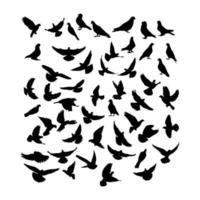 Detail Flying Bird Silhouette Vector Nomer 38