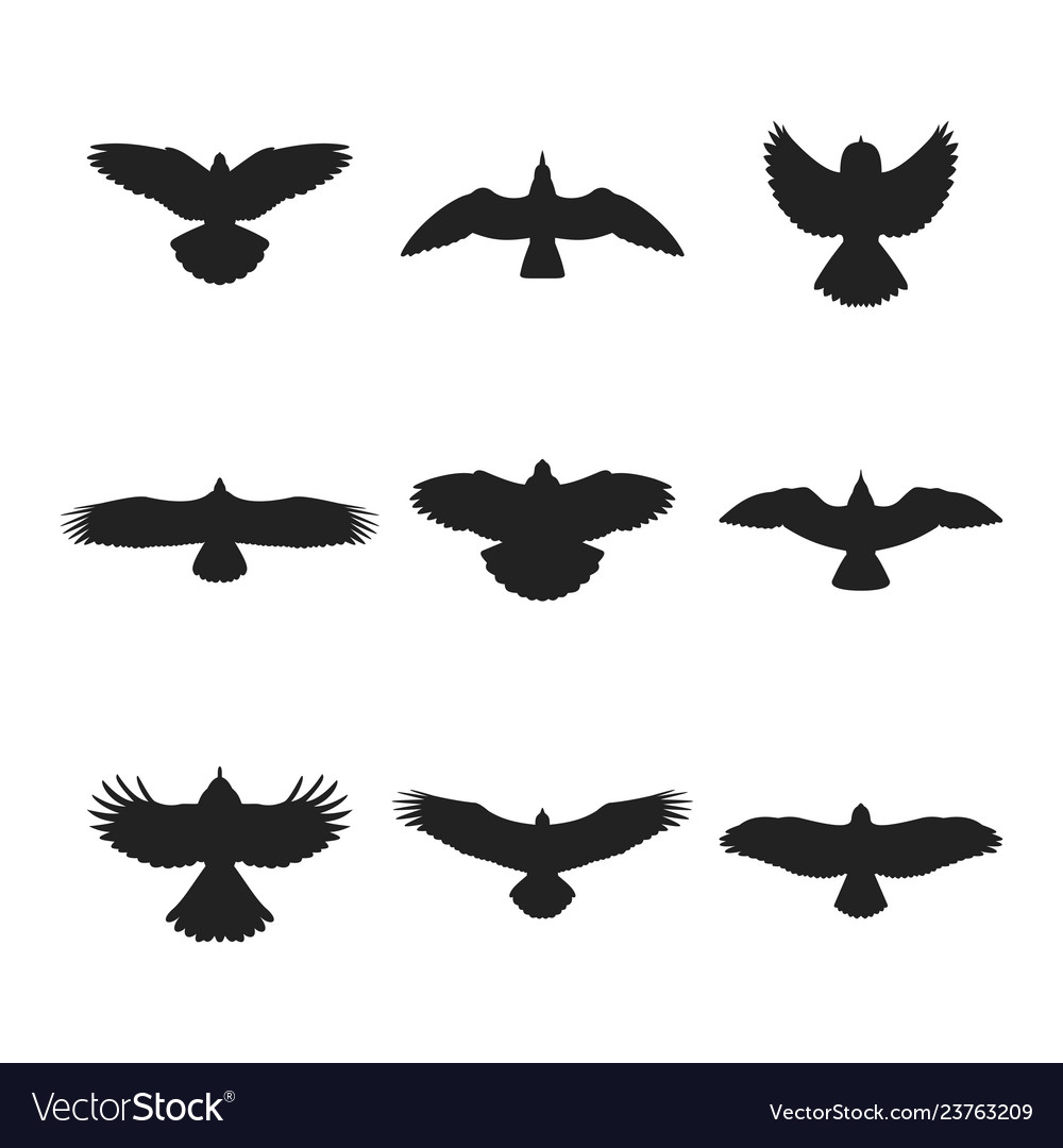 Detail Flying Bird Silhouette Vector Nomer 39