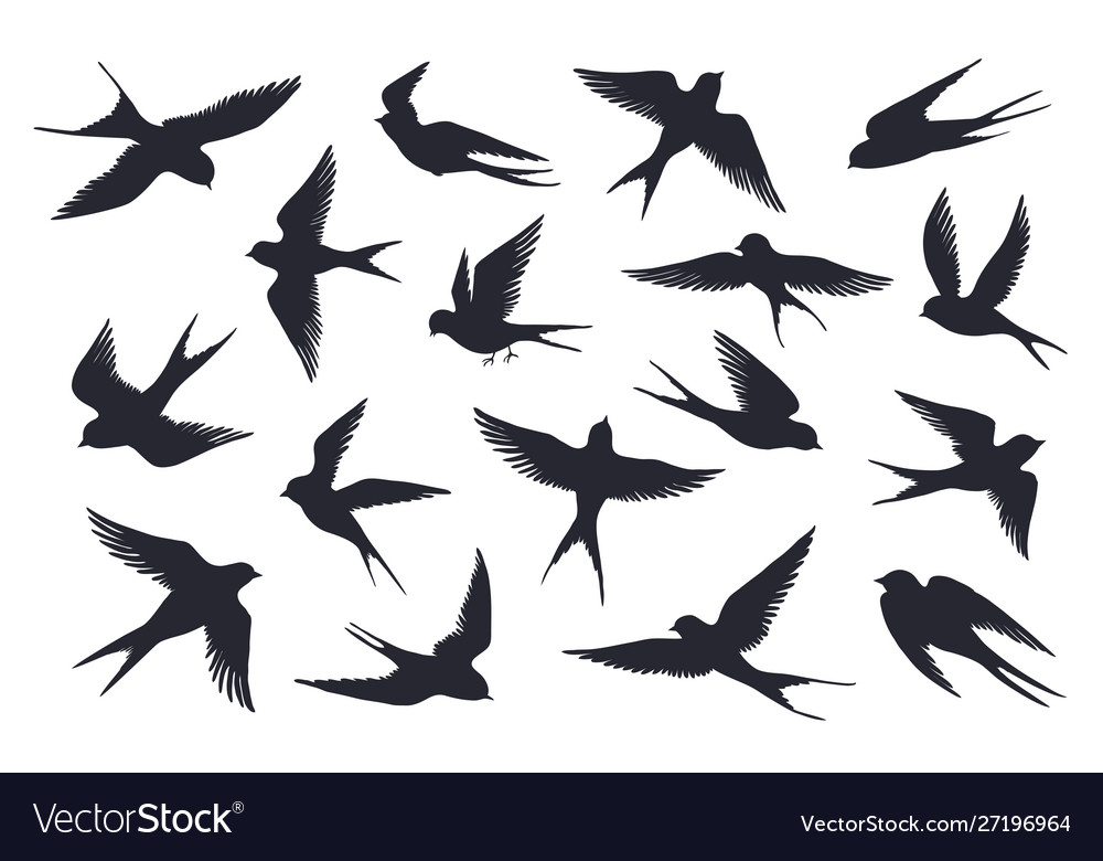 Detail Flying Bird Silhouette Vector Nomer 40