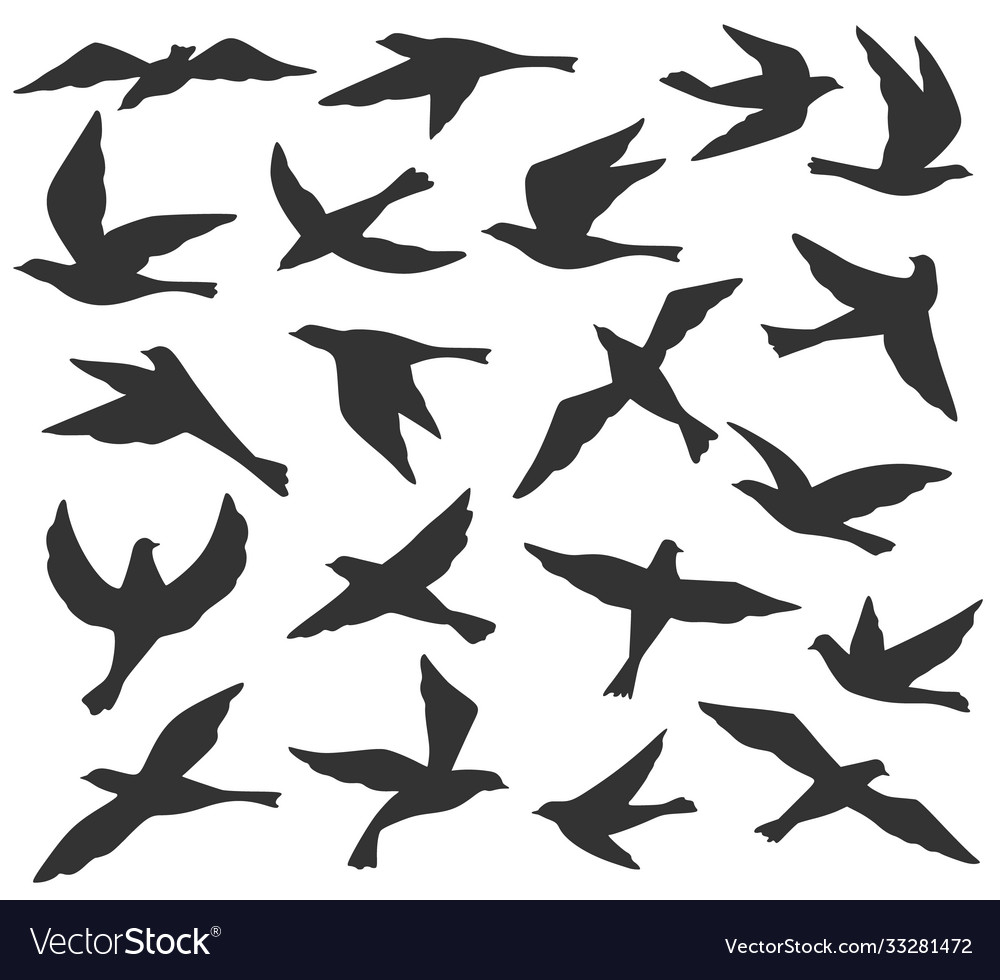 Detail Flying Bird Silhouette Vector Nomer 43