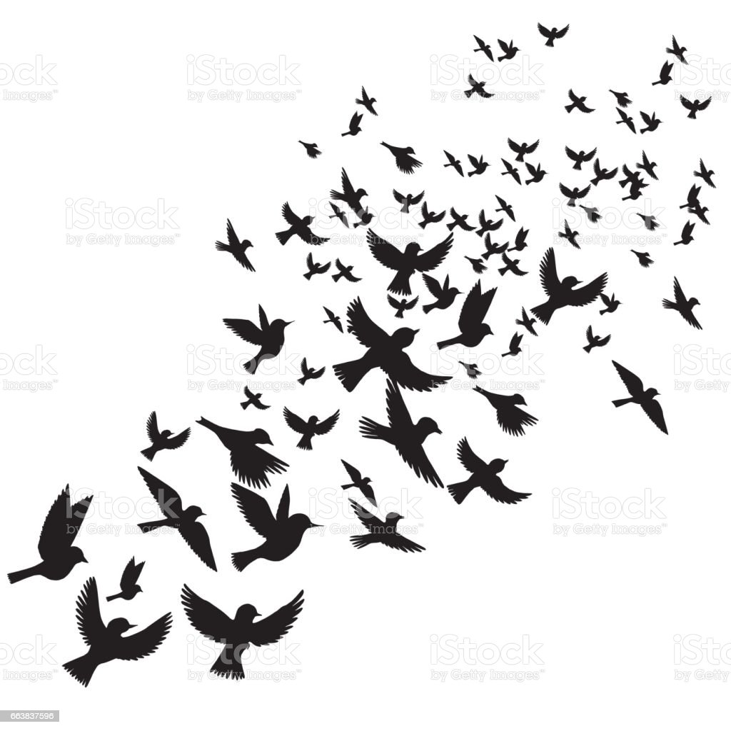 Detail Flying Bird Silhouette Vector Nomer 6