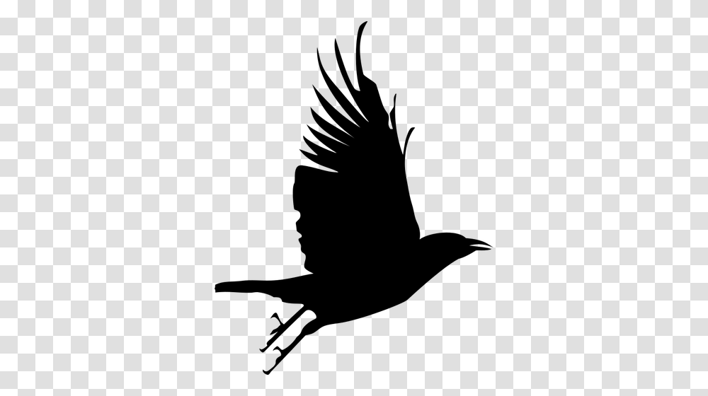 Detail Flying Bird Silhouette Vector Nomer 47