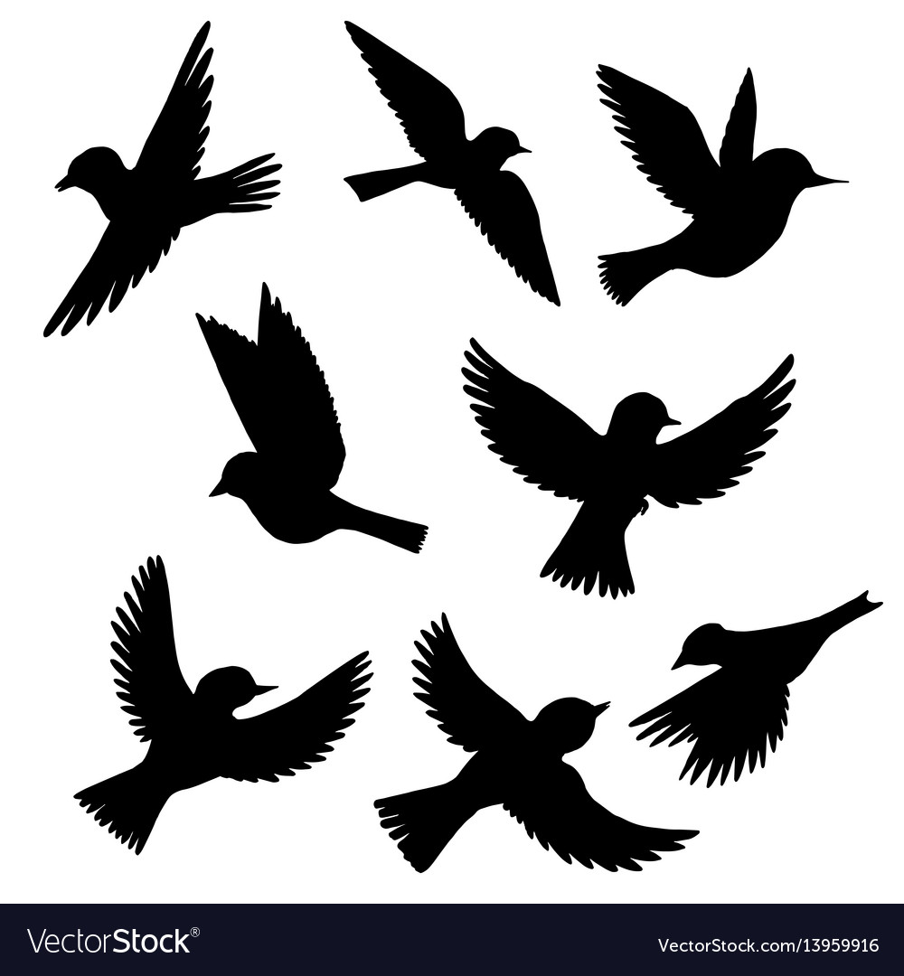 Detail Flying Bird Silhouette Vector Nomer 7