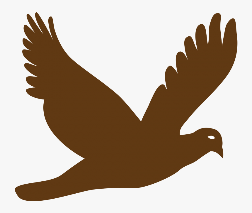 Detail Flying Bird Vector Png Nomer 4