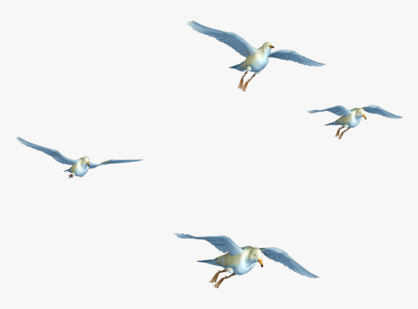 Detail Flying Birds Images Free Download Nomer 41