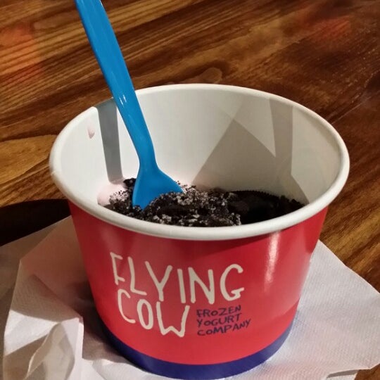 Detail Flying Cow Frozen Yogurt Nomer 12