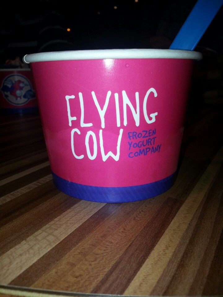 Detail Flying Cow Frozen Yogurt Nomer 42