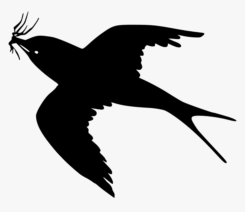 Detail Flying Crow Clipart Nomer 42