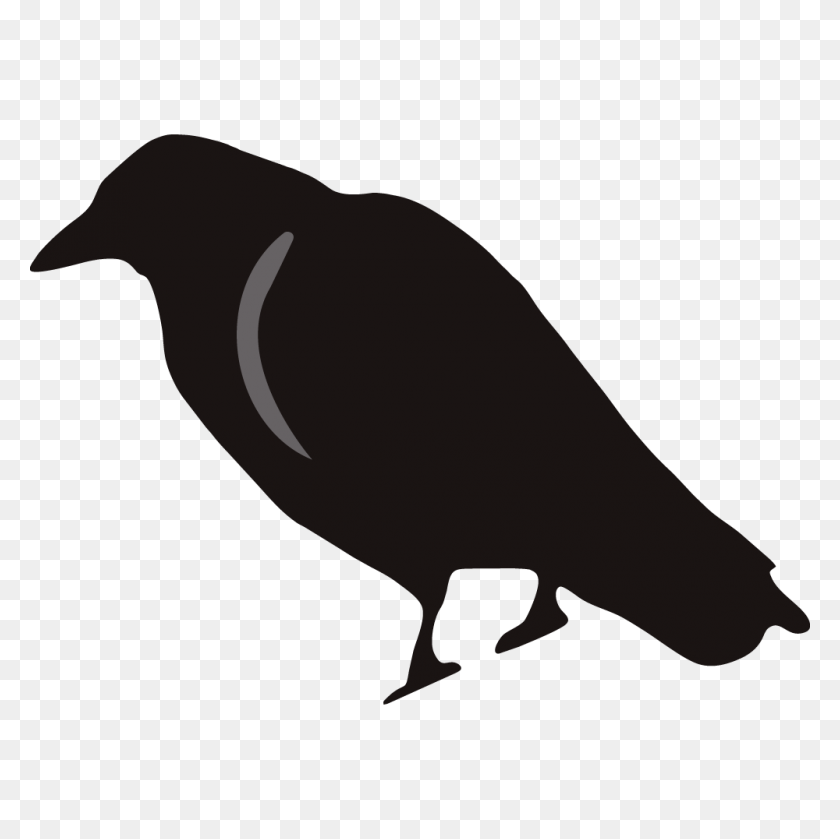 Detail Flying Crow Clipart Nomer 43