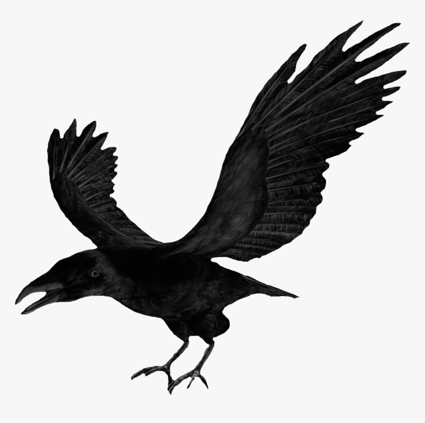 Detail Flying Crow Clipart Nomer 6