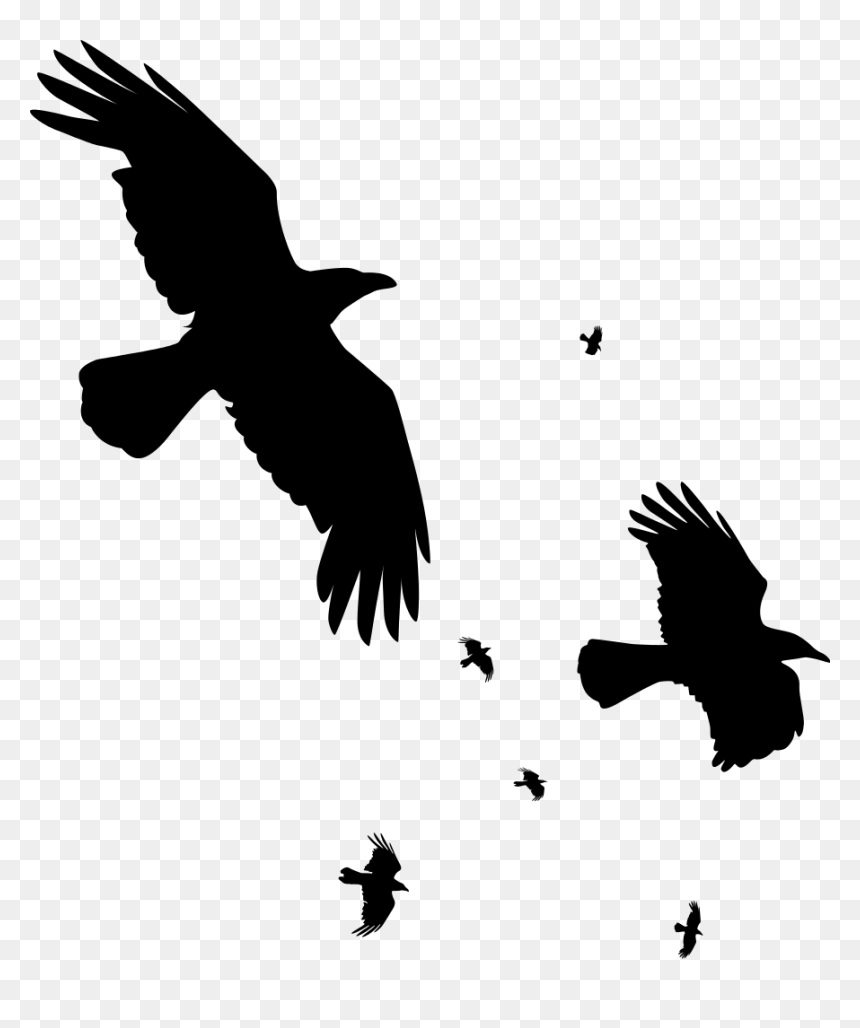 Detail Flying Crow Png Nomer 22