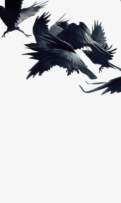 Detail Flying Crow Png Nomer 26
