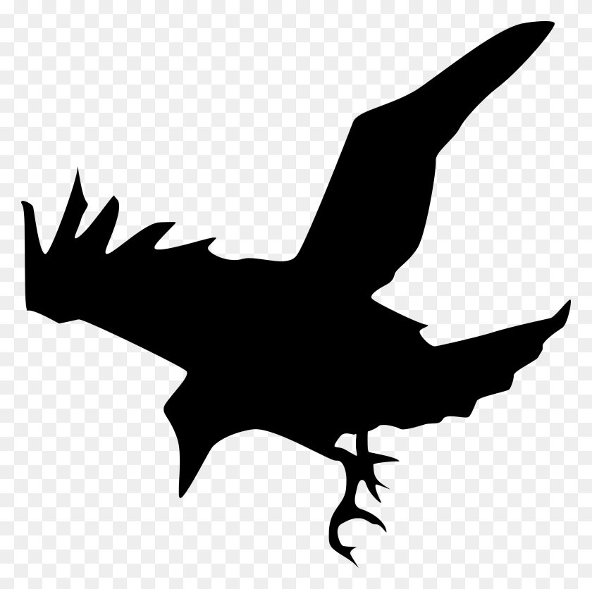 Detail Flying Crow Png Nomer 48