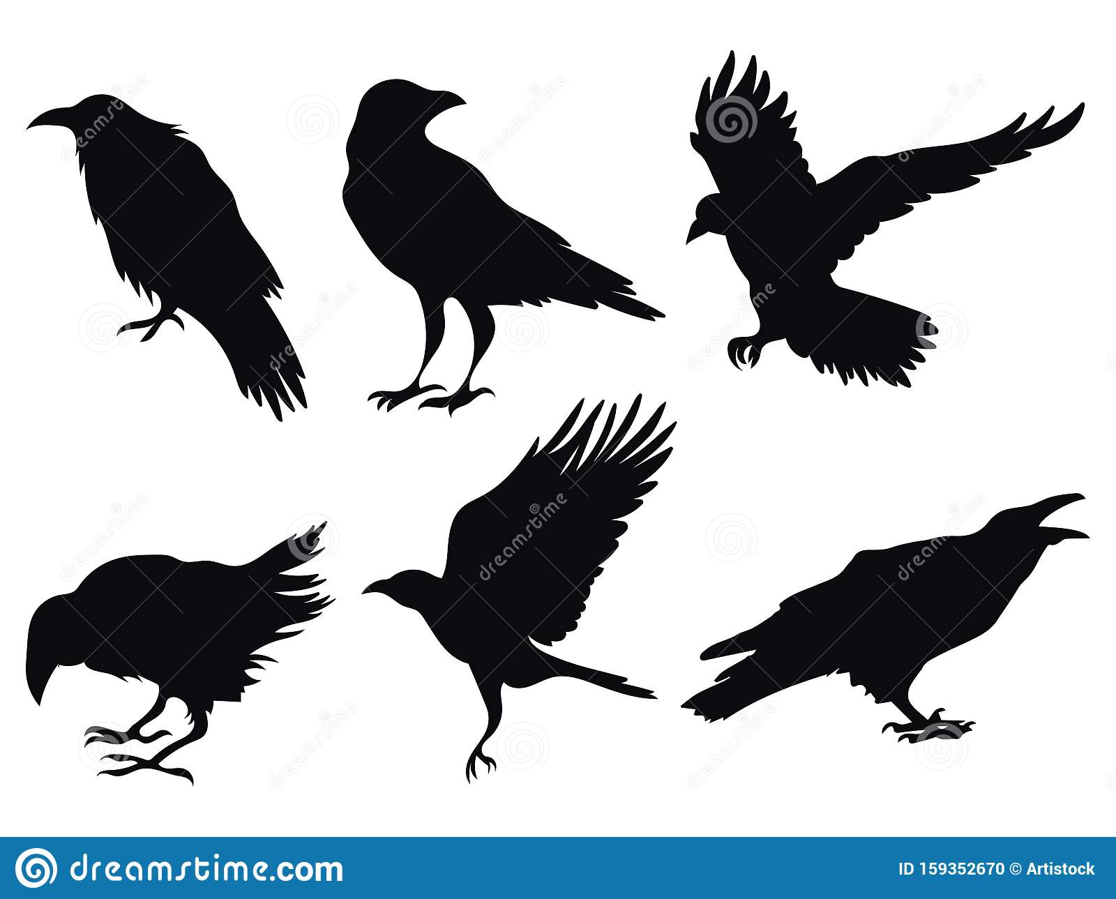 Detail Flying Crow Vector Nomer 15