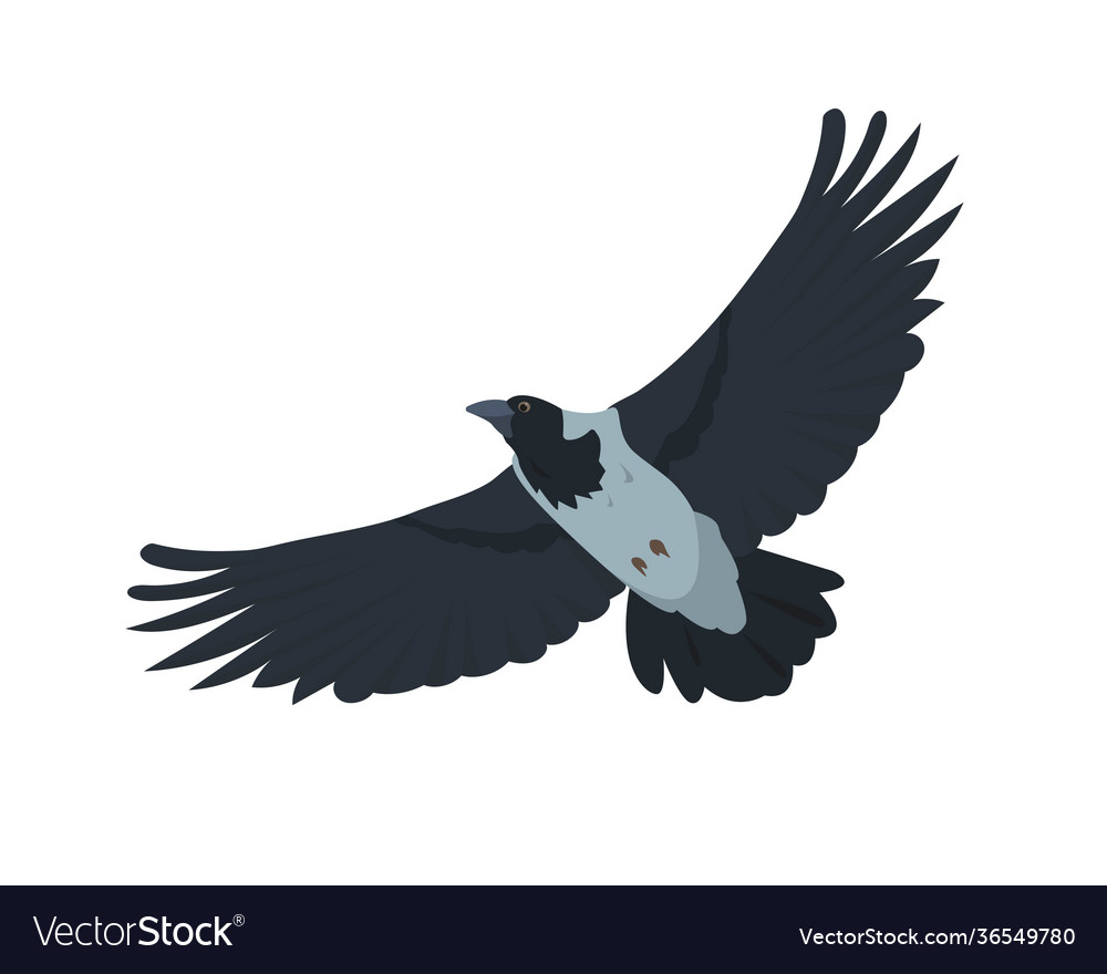 Detail Flying Crow Vector Nomer 33