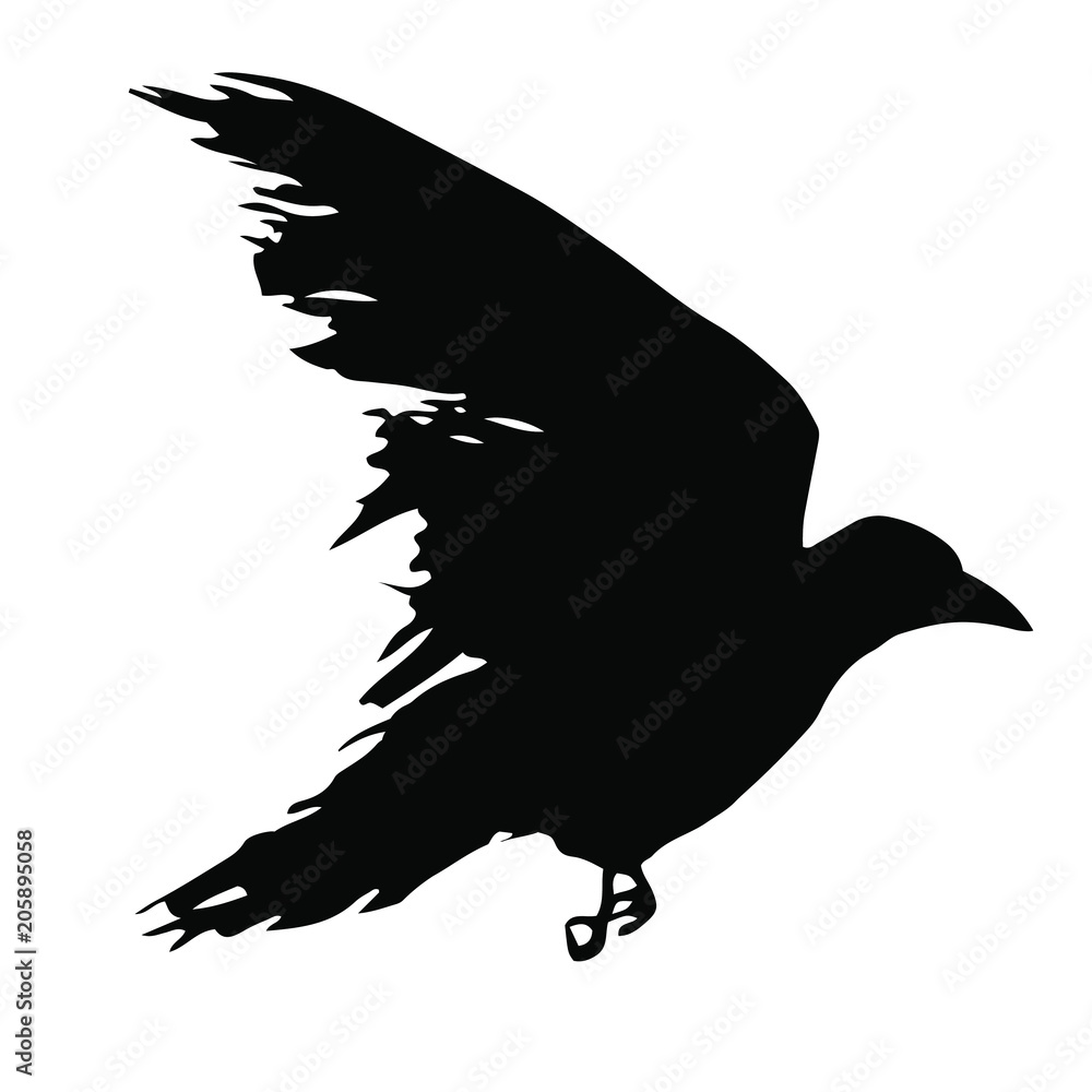 Detail Flying Crow Vector Nomer 36