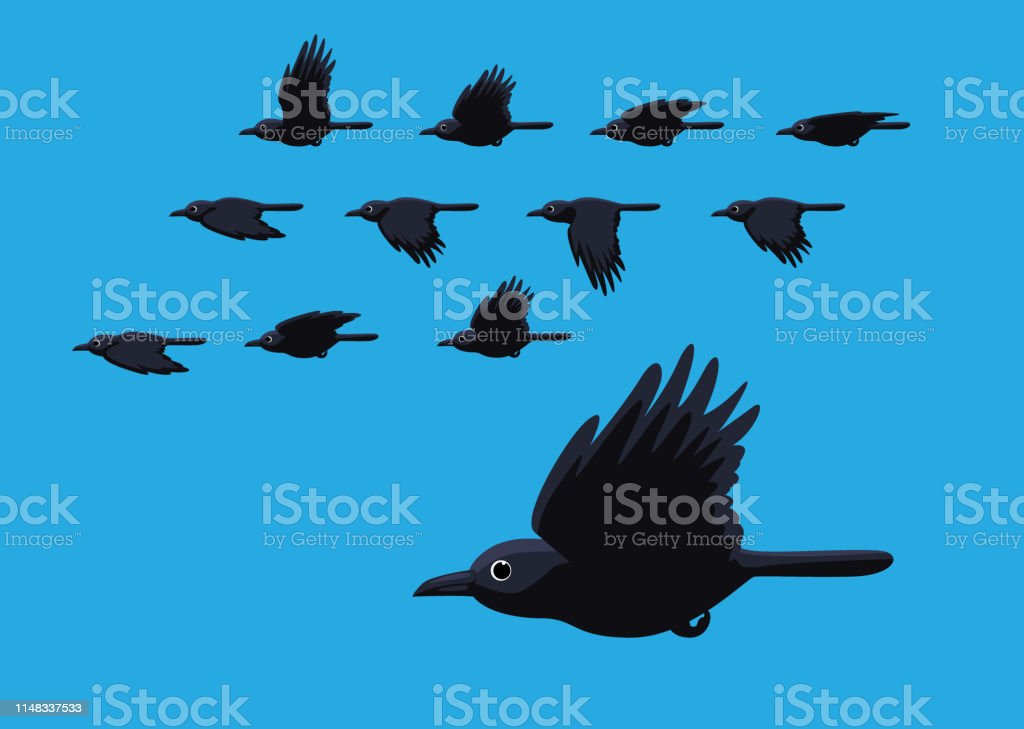 Detail Flying Crow Vector Nomer 42