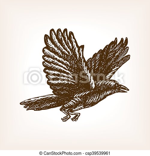 Detail Flying Crow Vector Nomer 45