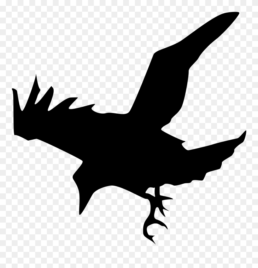 Detail Flying Crow Vector Nomer 10