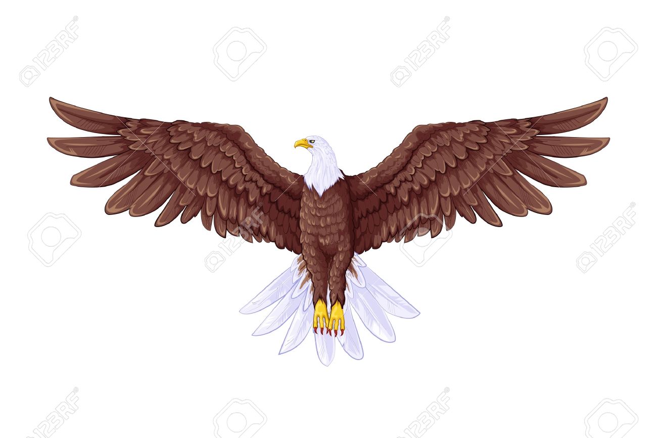 Detail Flying Eagle Pic Nomer 12