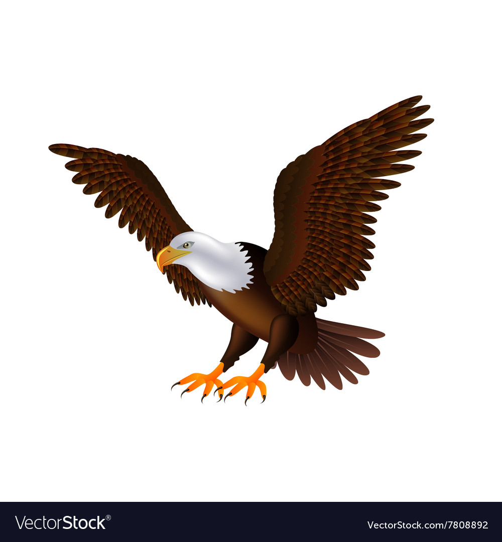 Detail Flying Eagle Pic Nomer 3