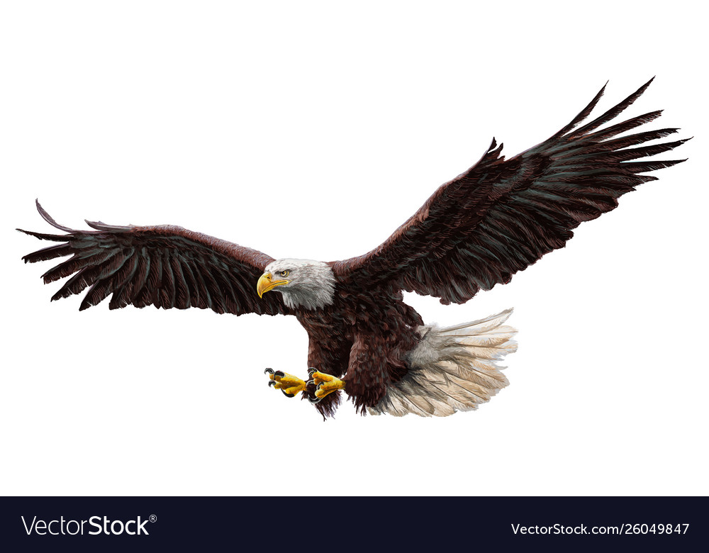 Detail Flying Eagle Pic Nomer 21