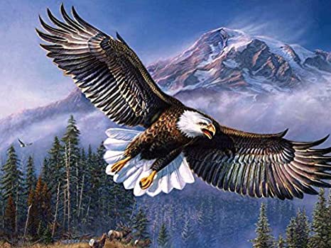Detail Flying Eagle Pic Nomer 34