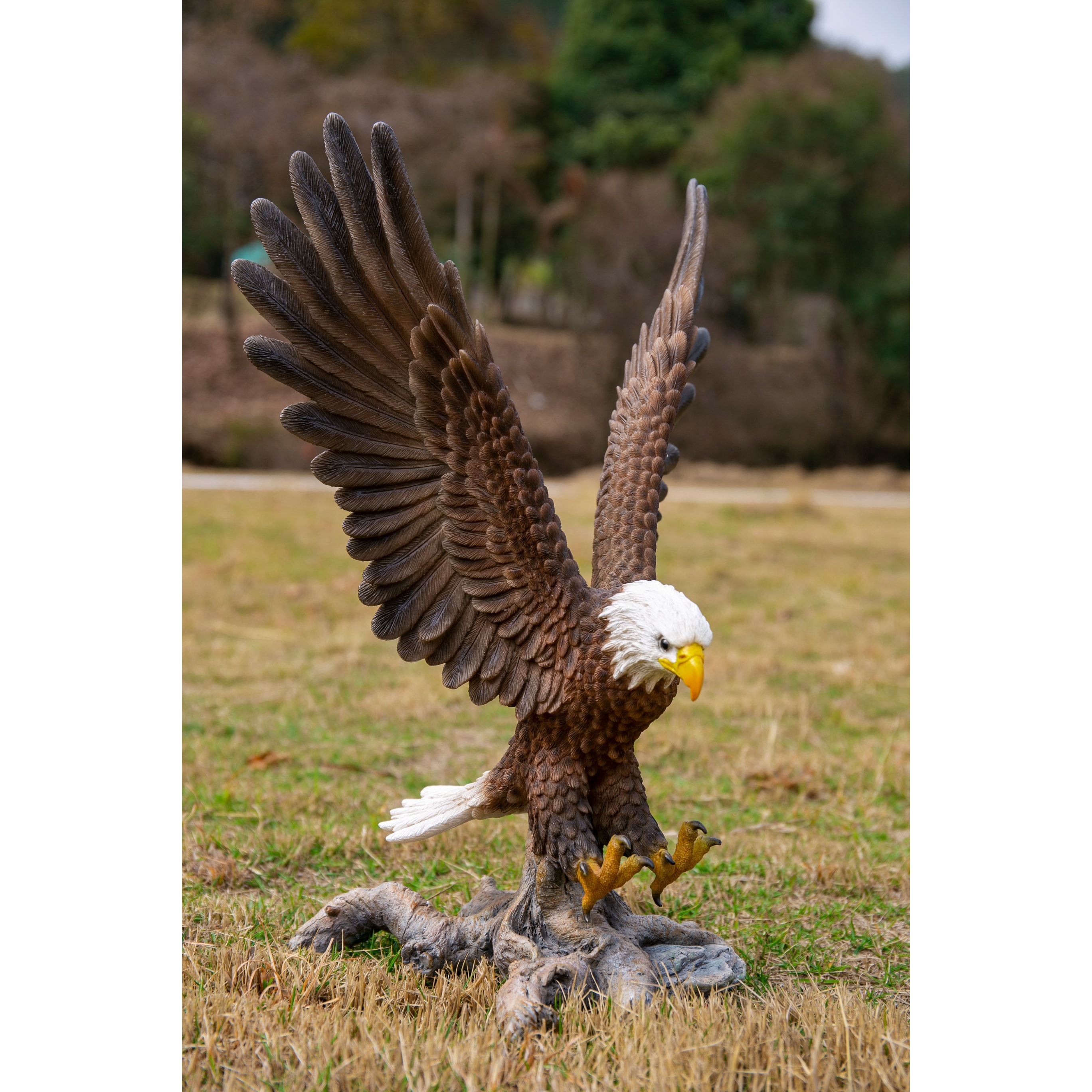 Detail Flying Eagle Pic Nomer 40