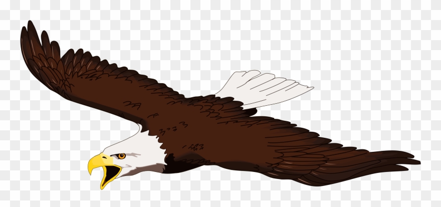 Detail Flying Eagle Pic Nomer 46