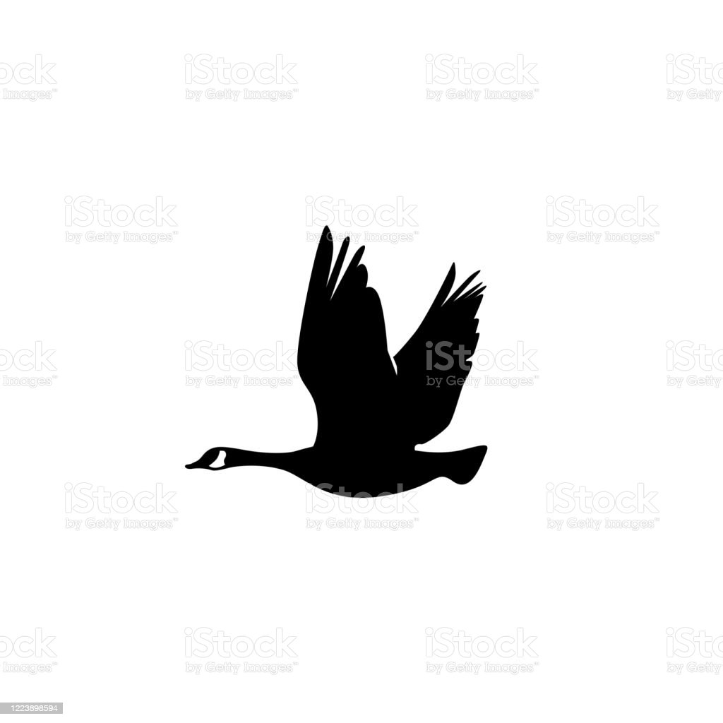 Flying Goose Vector - KibrisPDR