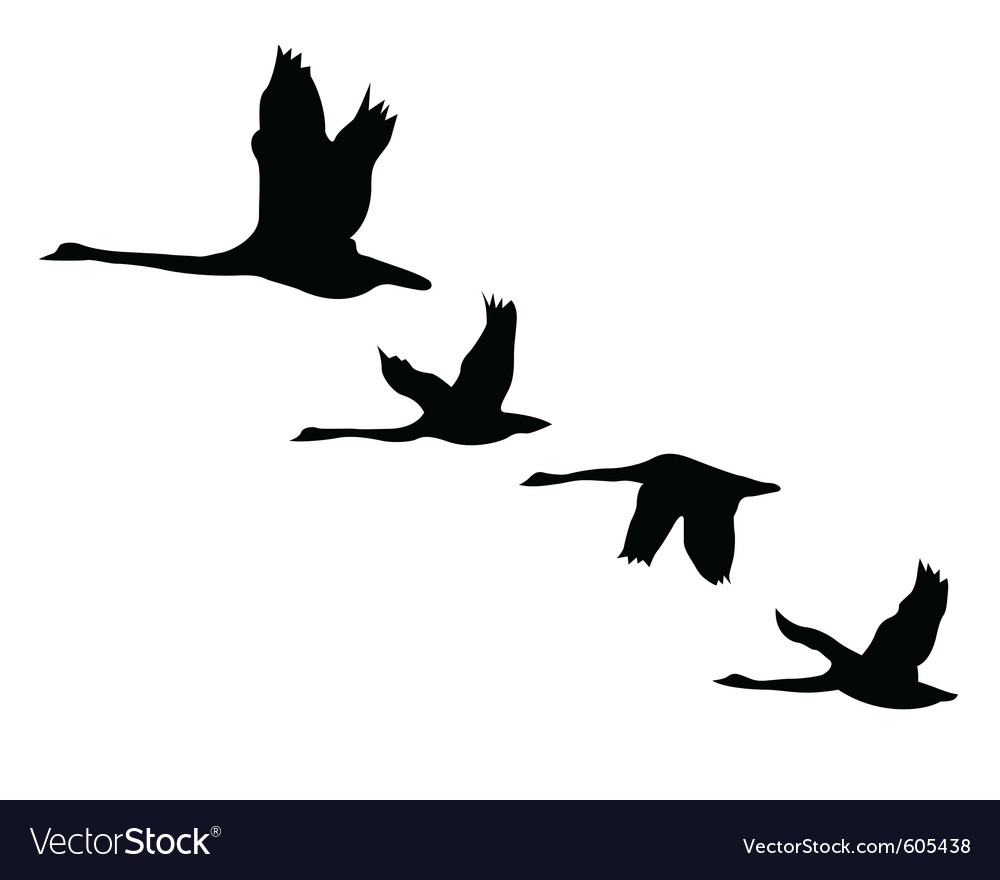 Detail Flying Goose Vector Nomer 5