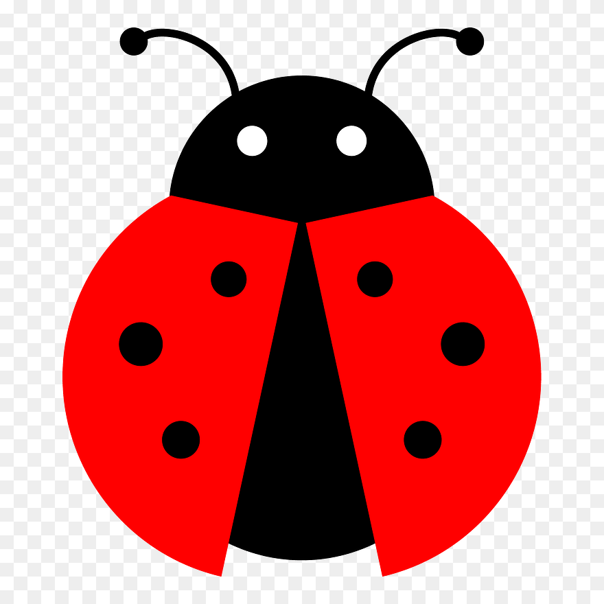 Detail Flying Ladybug Clipart Nomer 14