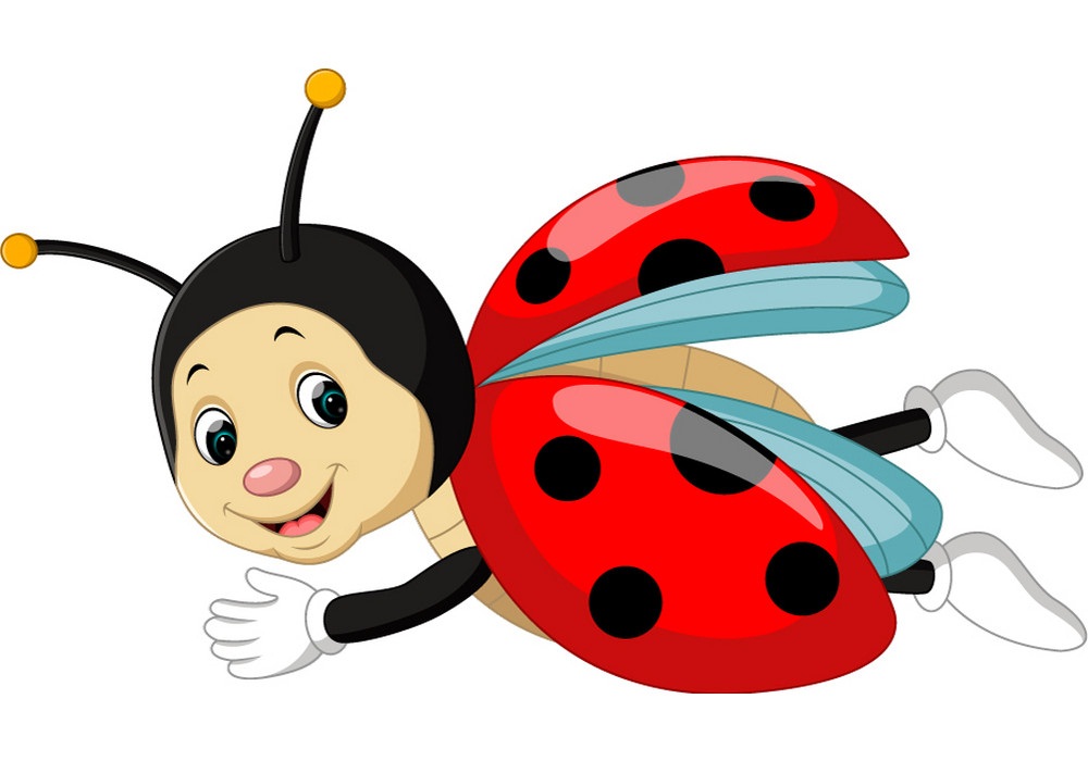 Detail Flying Ladybug Clipart Nomer 2