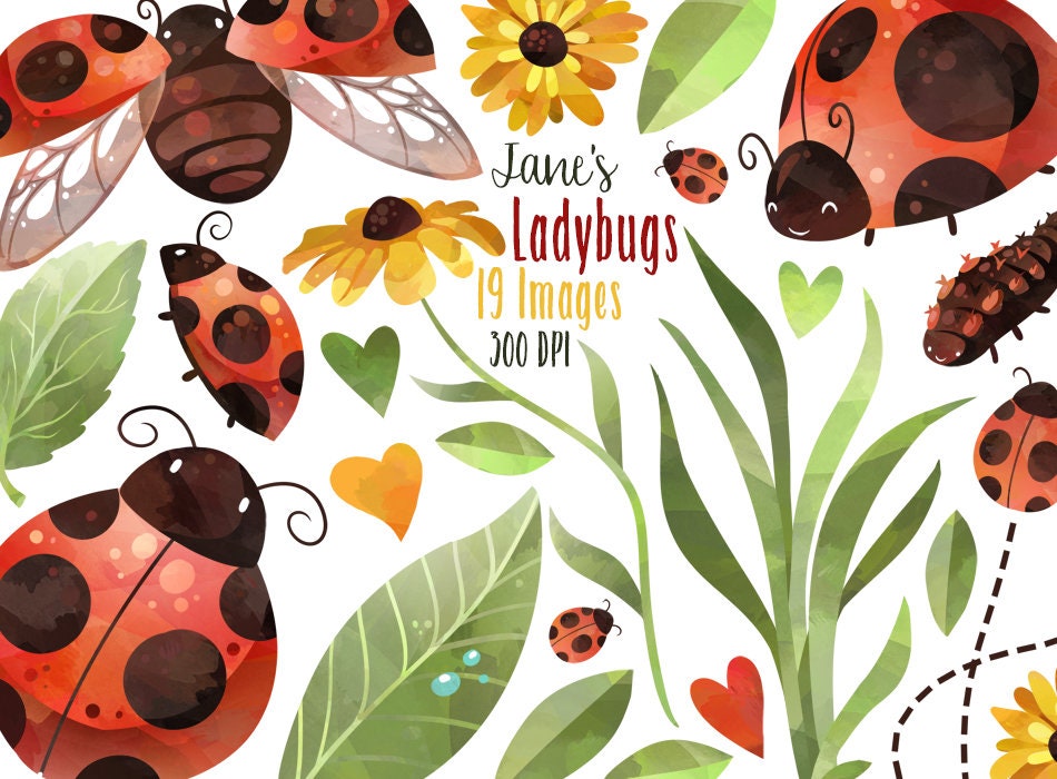 Detail Flying Ladybug Clipart Nomer 18