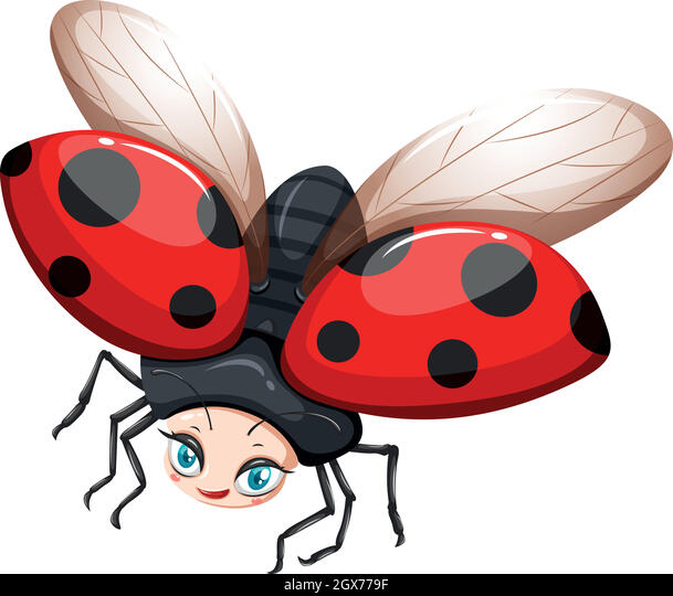 Detail Flying Ladybug Clipart Nomer 27