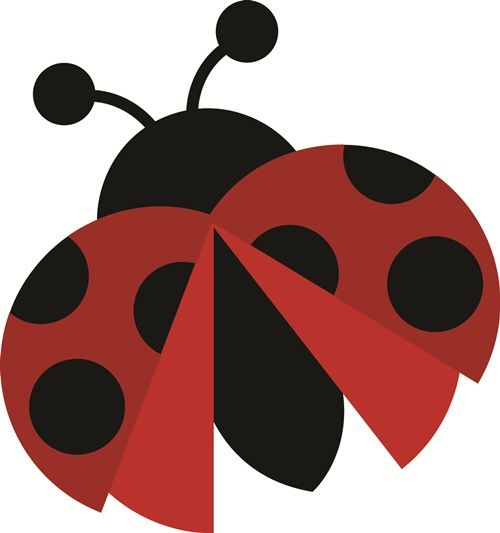 Detail Flying Ladybug Clipart Nomer 30