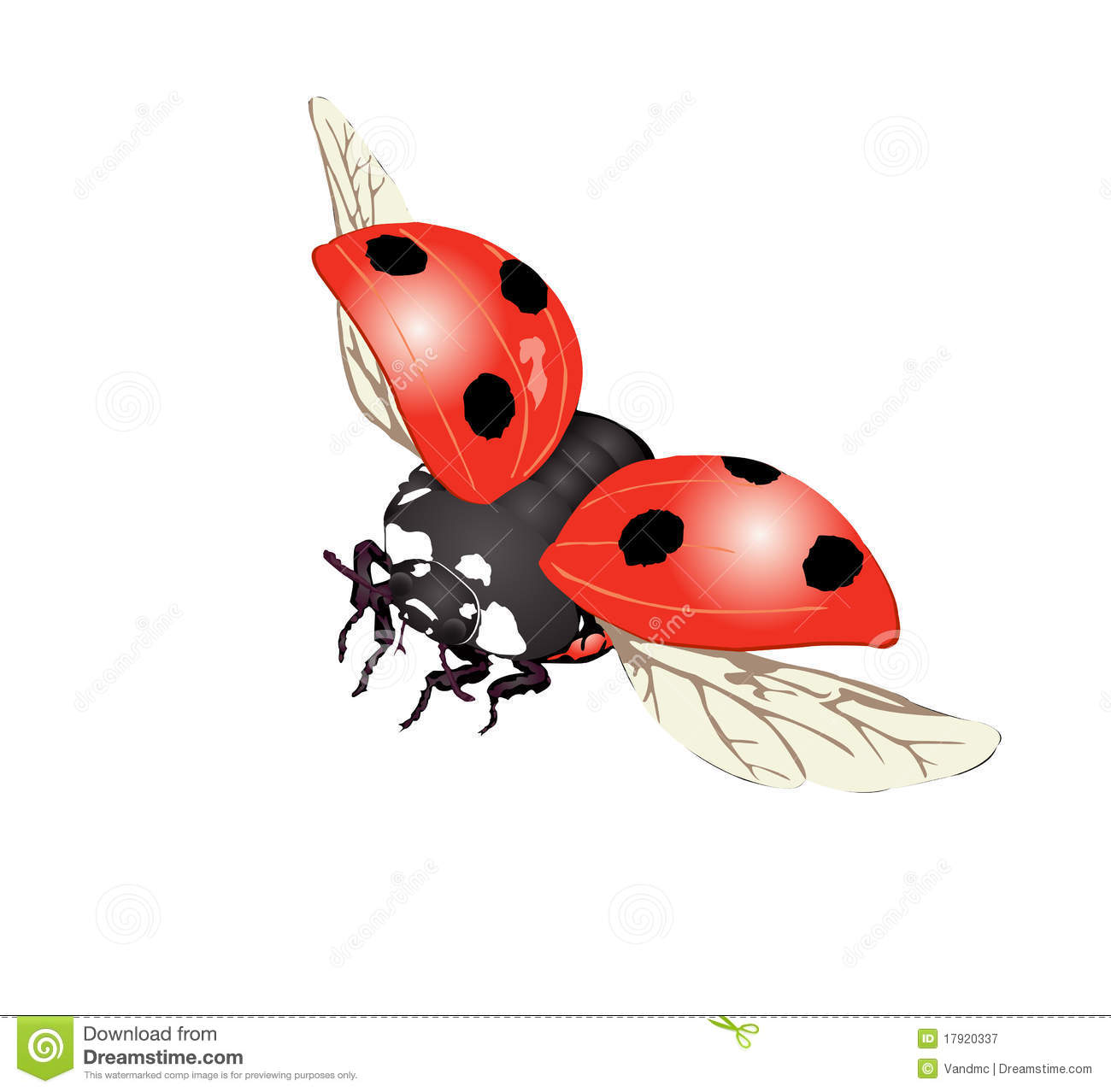 Detail Flying Ladybug Clipart Nomer 34