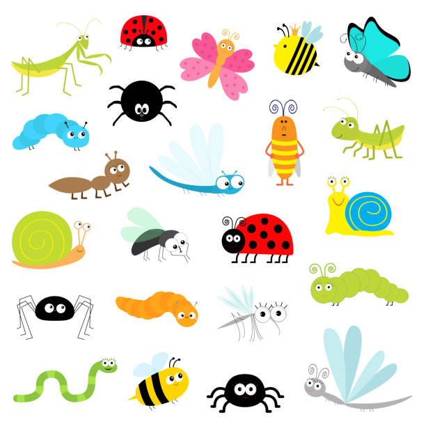 Detail Flying Ladybug Clipart Nomer 39