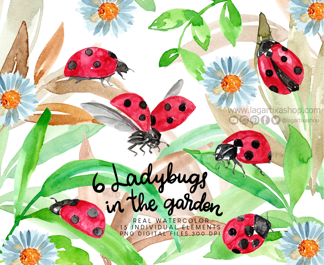 Detail Flying Ladybug Clipart Nomer 41