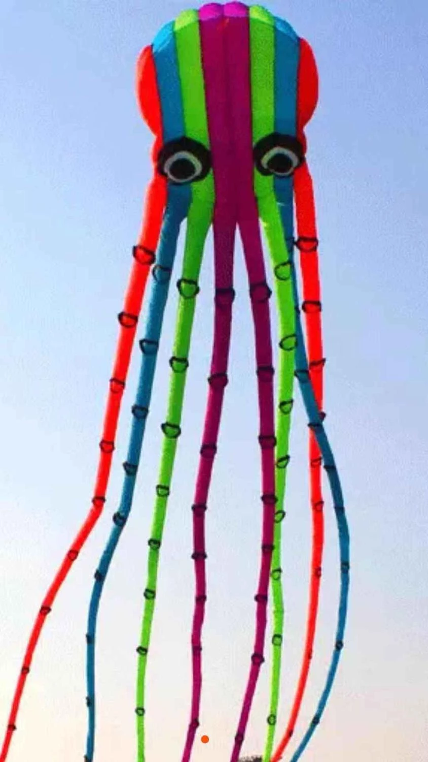 Detail Flying Octopus Kite Nomer 15