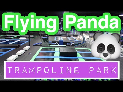 Detail Flying Panda Trampoline Park Nomer 2
