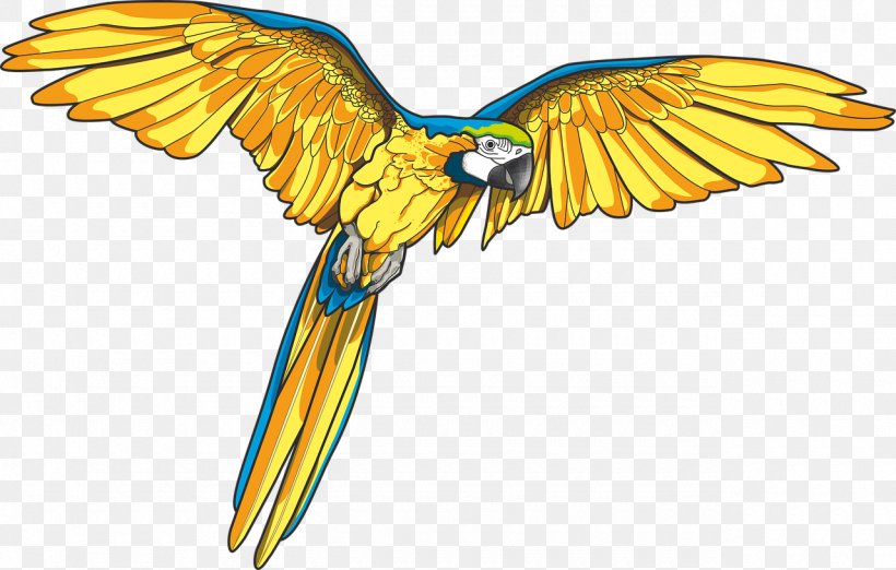 Detail Flying Parrot Nomer 39