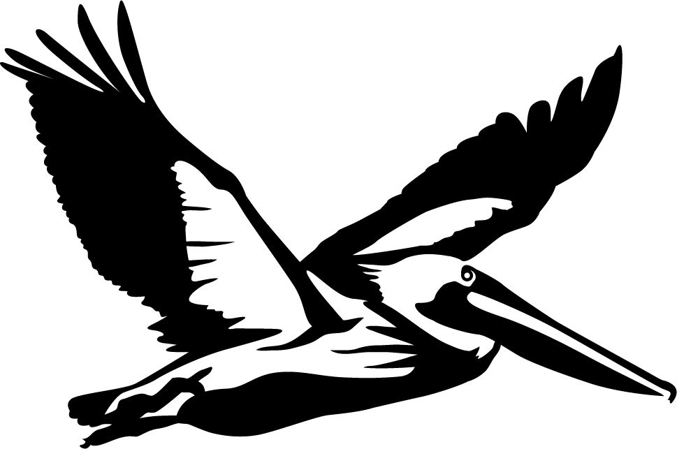 Detail Flying Pelican Silhouette Nomer 30