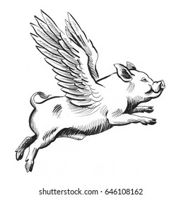 Detail Flying Pig Images Free Nomer 7