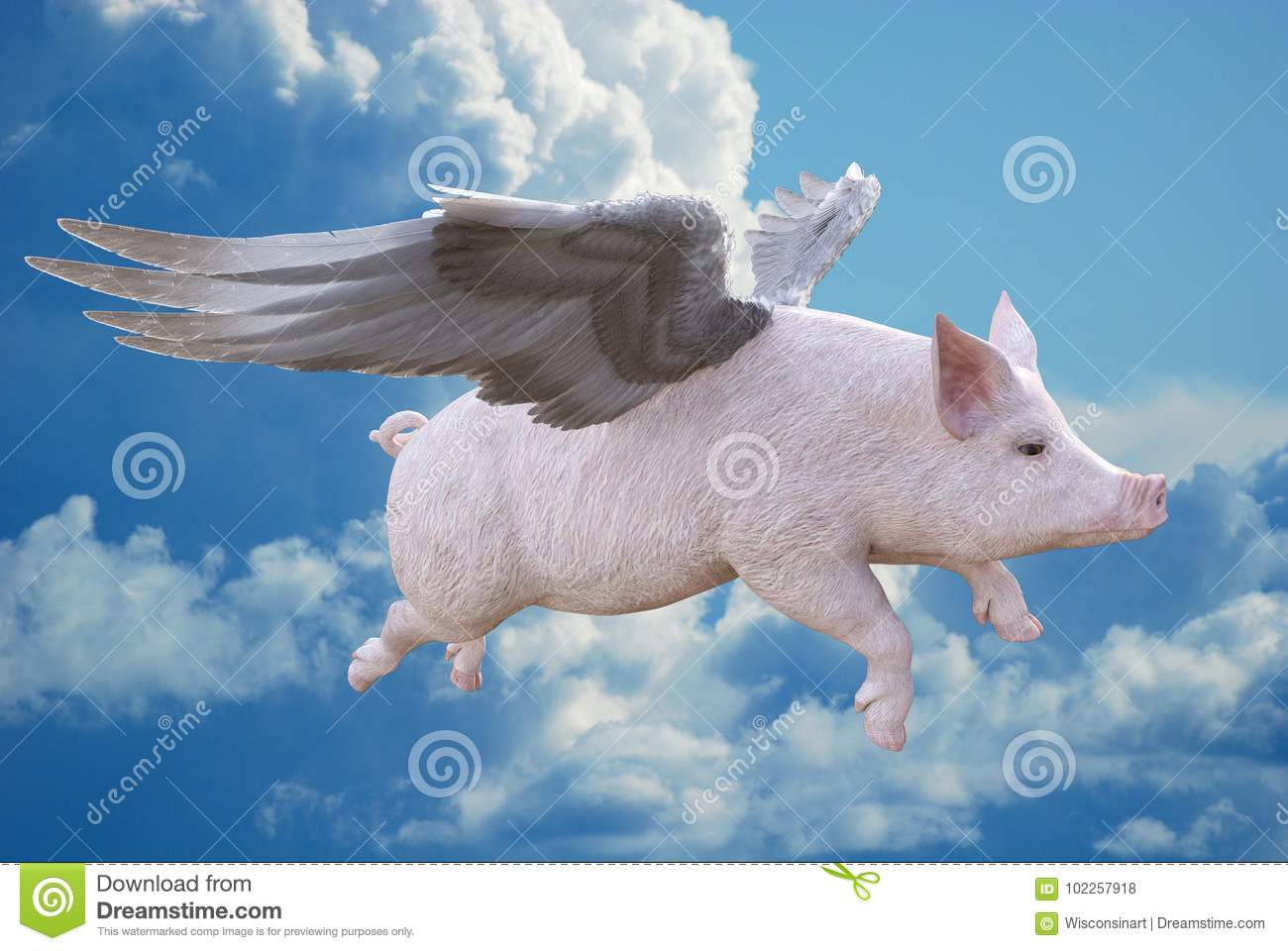 Detail Flying Pig Images Free Nomer 9