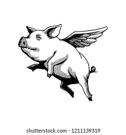 Detail Flying Pig Images Free Nomer 4